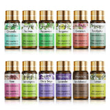 Pure Natural Essential Oils 12 pc Set